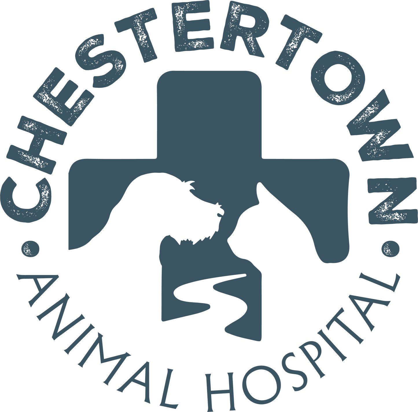 Chestertown Animal Hospital Ts