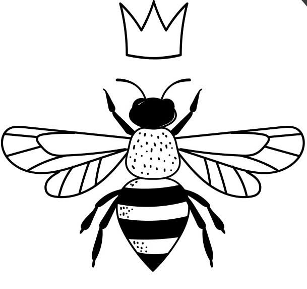 Sweet Bee Apiary Embroidered Crewnecks